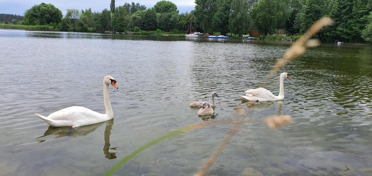 Apartament Wilkasy * Wilkasy