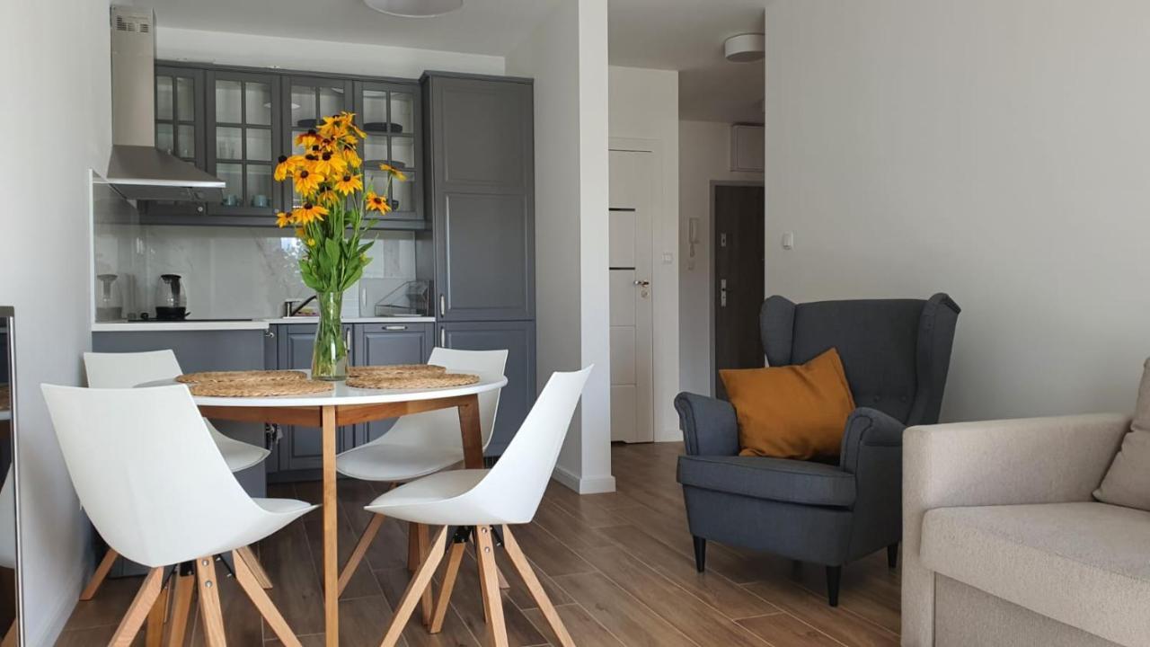Apartament Wilkasy *